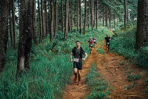 BIB: 
                            <button type="button" onclick="openModal(25652626)" class="btn btn-primary btn-sm float-right btn-popup" data-toggle="modal" data-target=".modal-high-quality">
                        <i class="fas fa-shopping-cart"></i> Add to Cart
                    </button>
                                            <button type="button" onclick="isThisMe(25652626, true)" class="btn btn-success btn-sm float-right btn-popup btn-isme hidden" data-toggle="tooltip" data-placement="bottom" title="นี่คือรูปของคุณใช่ไหม คลิกที่นี่เพื่อเอาเข้าอัลบั้ม">
                        <i class="fas fa-plus"></i> Add to album
                    </button>
                    <button type="button" onclick="isThisMe(25652626, false)" class="btn btn-warning btn-sm float-right btn-popup btn-isnotme hidden">
                        <i class="fas fa-ban"></i> Remove from album
                    </button>